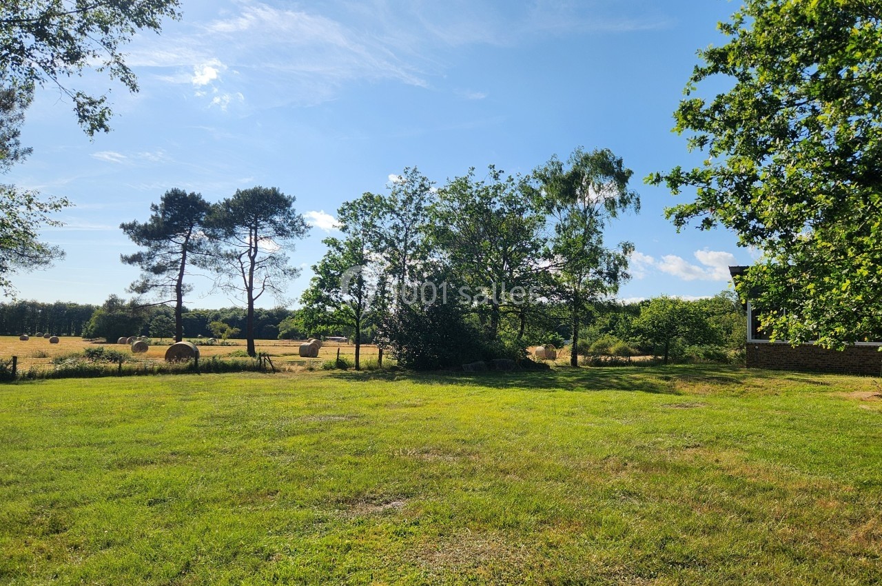Prairie ensoleillée avec des arbres, des champs et des vaches au loin, bordée par un bâtiment à droite.