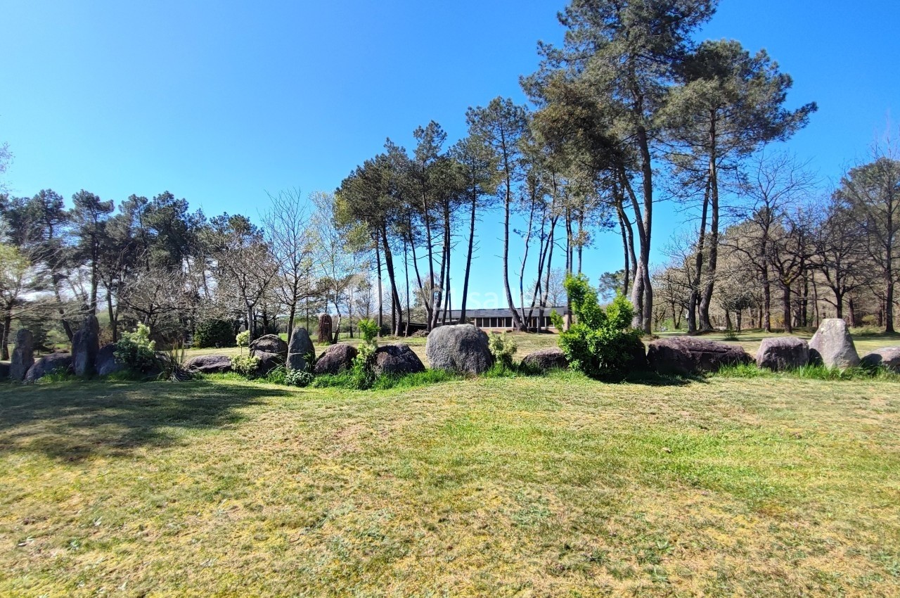 Alignement de menhirs entouré d'arbres et d'herbe sous un ciel bleu clair.