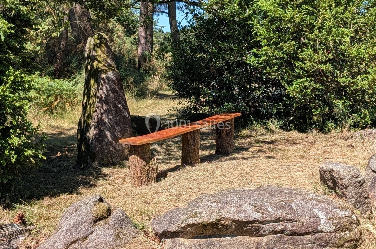 Banc en bois rustique installé près d'un menhir entouré de végétation et de rochers dans un cadre naturel.