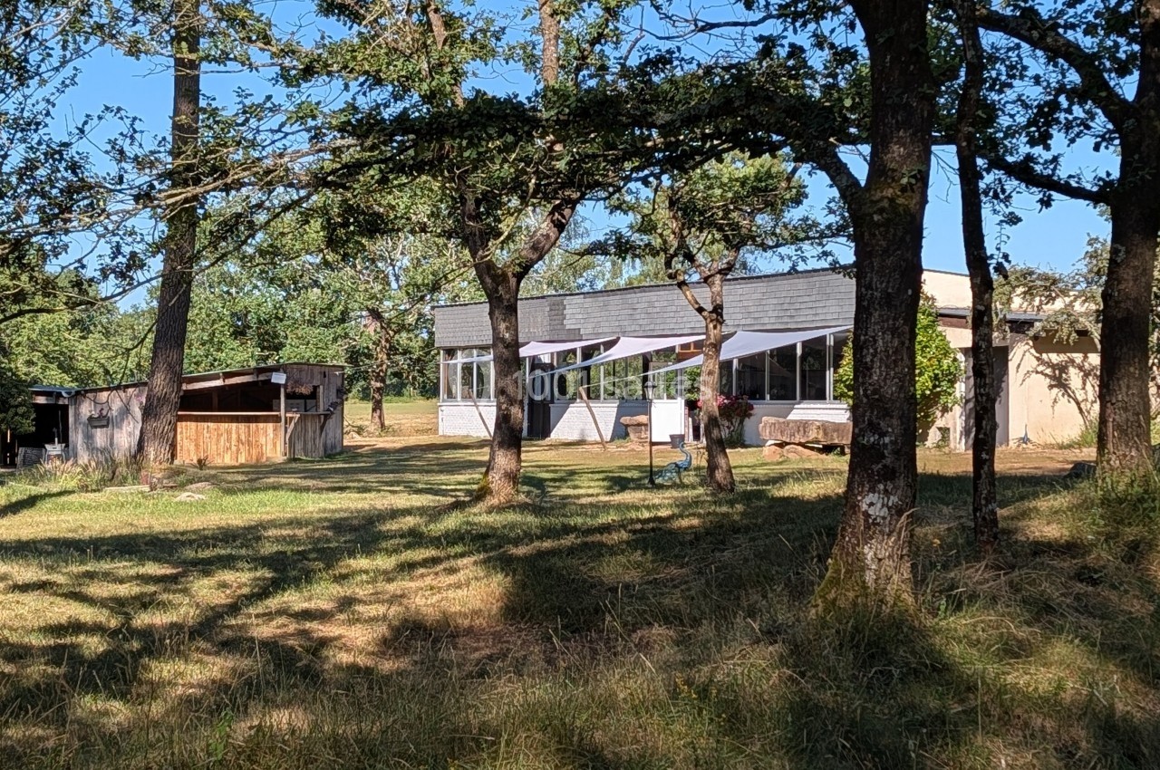 Bâtiment moderne entouré d'arbres dans un espace naturel avec une petite structure en bois à gauche.