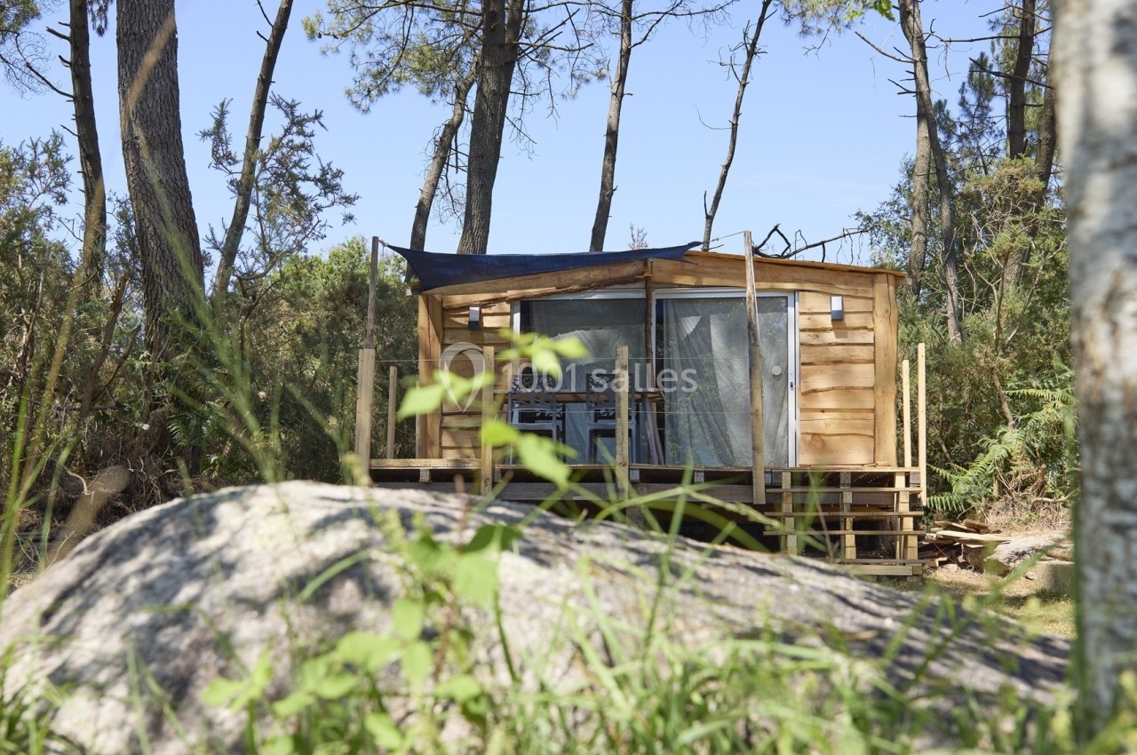 Cabane en bois avec terrasse, entourée d'arbres et de végétation, sous un ciel bleu clair.