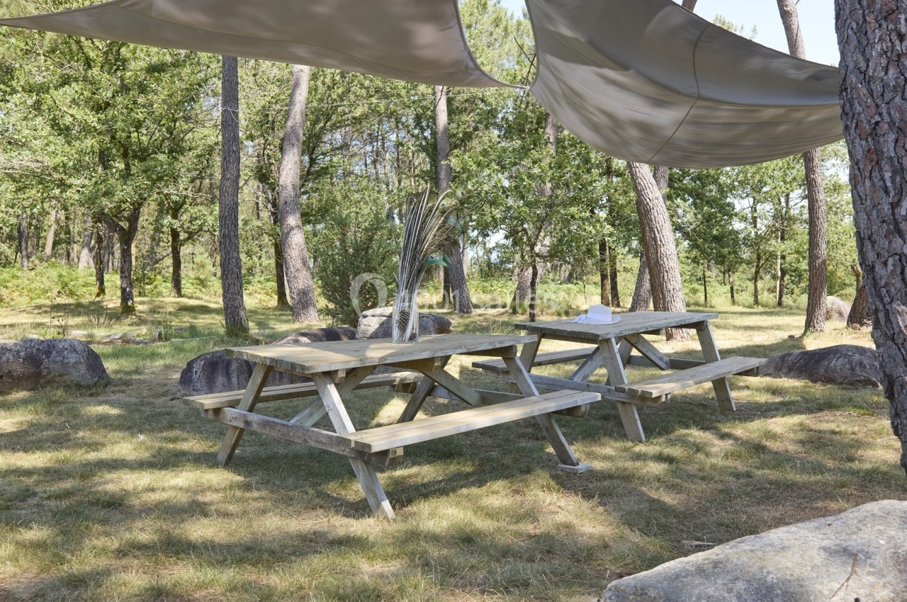 Tables de pique-nique en bois sous une toile d'ombrage, installées dans une clairière entourée d'arbres.