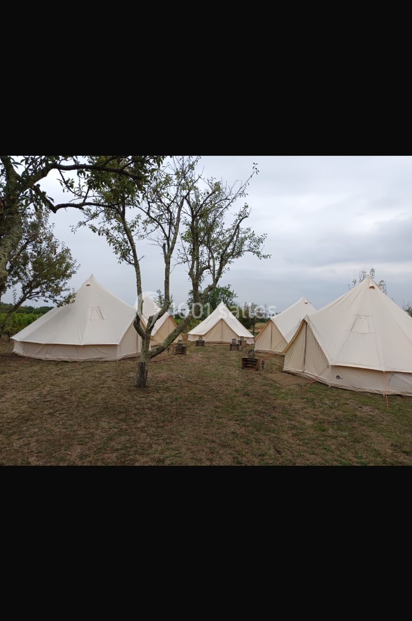 Tentes en toile beige installées sur un terrain herbeux avec quelques arbres sous un ciel nuageux.