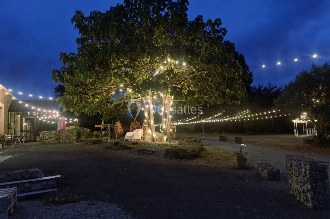 Cour éclairée par des guirlandes lumineuses suspendues autour d'un grand arbre, créant une ambiance nocturne chaleureuse.