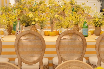 Chaises en rotin entourées de pampas et de décorations jaunes, sous un parasol blanc dans un cadre lumineux.