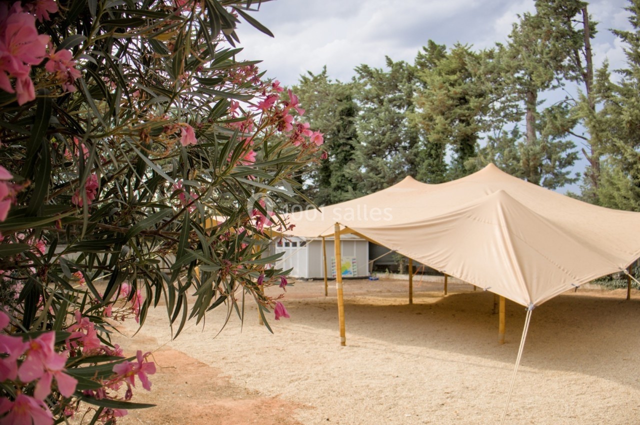 Tente beige montée sur un sol sablonneux, entourée d'arbres et de fleurs roses au premier plan.