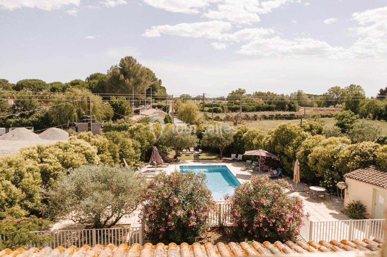 Vue d'une piscine entourée de végétation, avec des chaises longues et parasols dans un cadre ensoleillé.