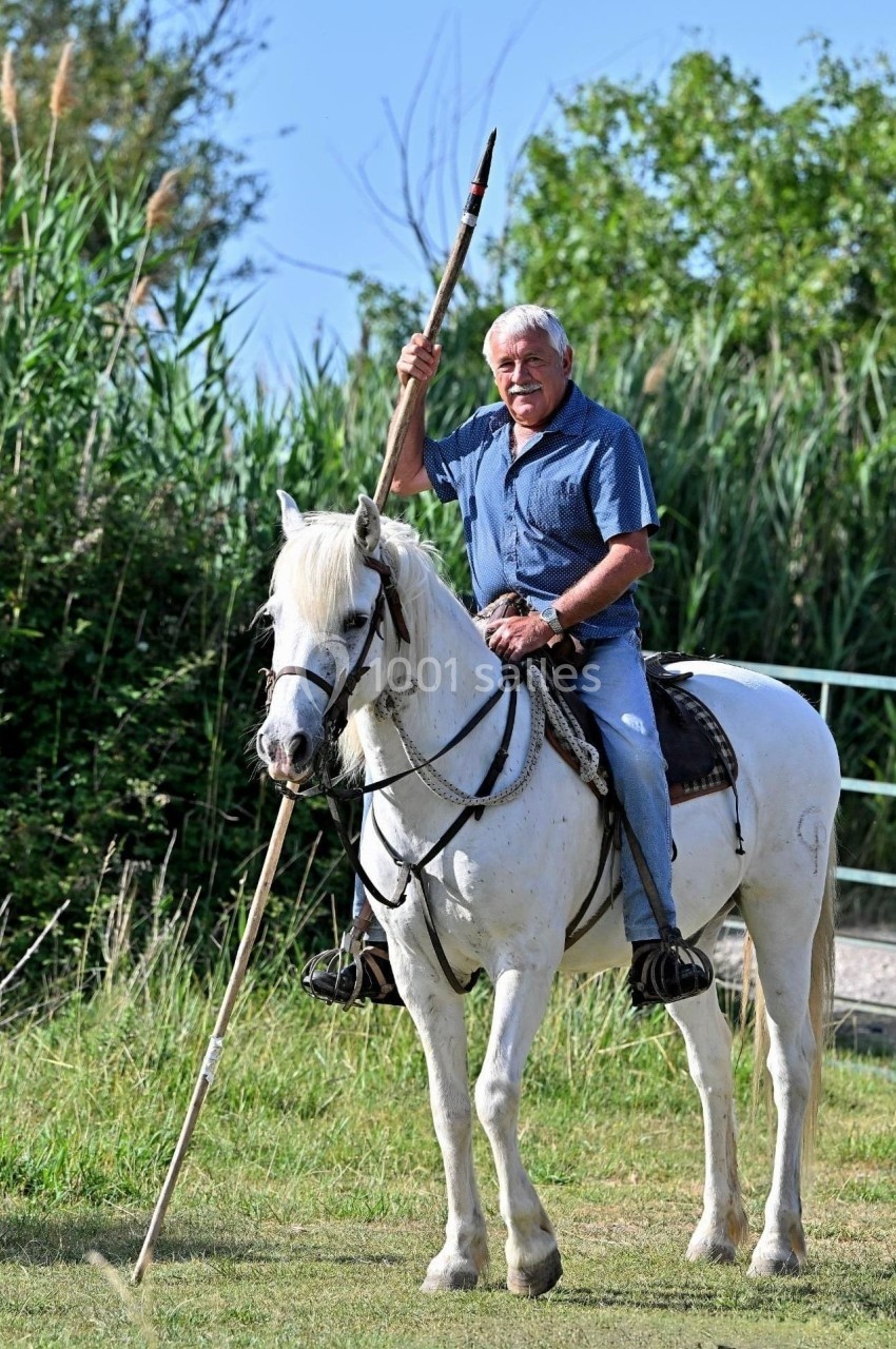 Homme à cheval tenant une lance, dans un cadre naturel avec des herbes hautes en arrière-plan.