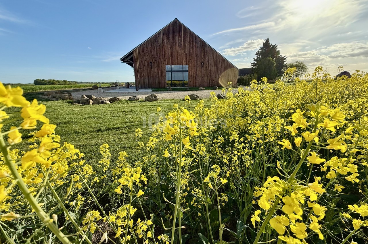 Bâtiment en bois avec grande baie vitrée entouré de champ de fleurs jaunes en pleine campagne.