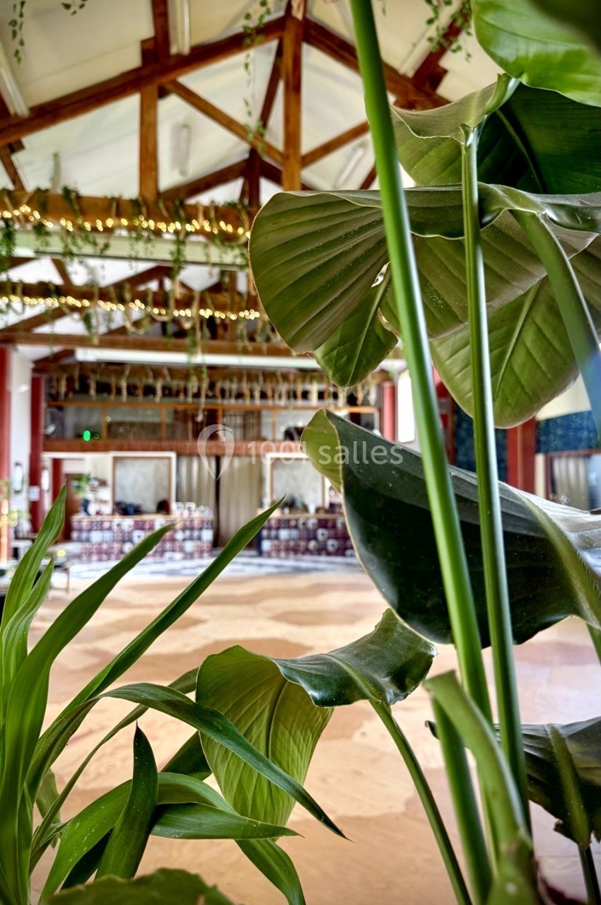 Plantes vertes au premier plan avec une grande salle lumineuse en arrière-plan, ornée de poutres en bois et de guirlandes.