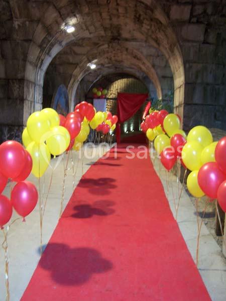 Location salle Grenoble (Isère) - Fort De La Bastille #15
