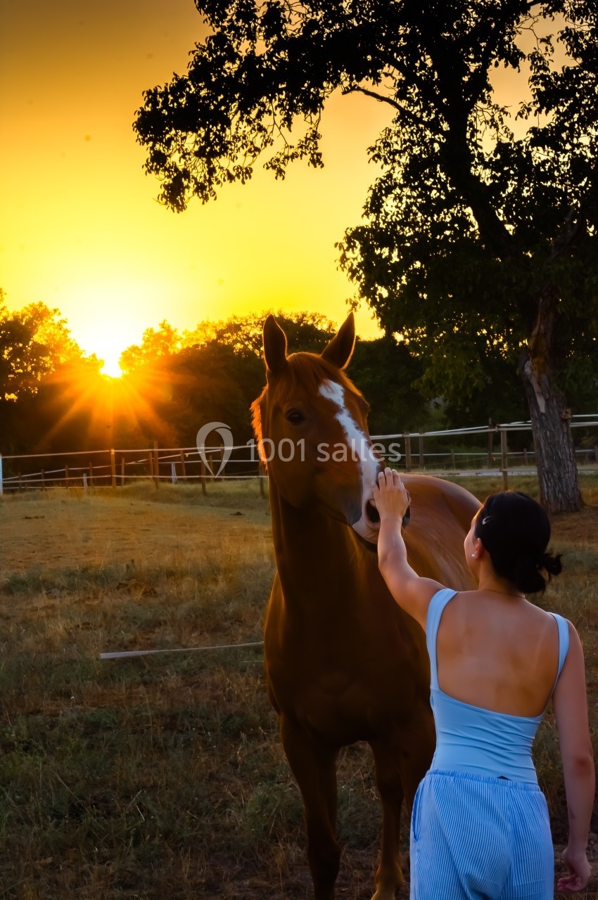 Une femme caresse un cheval dans un pré au coucher du soleil, avec des arbres et des clôtures en arrière-plan.