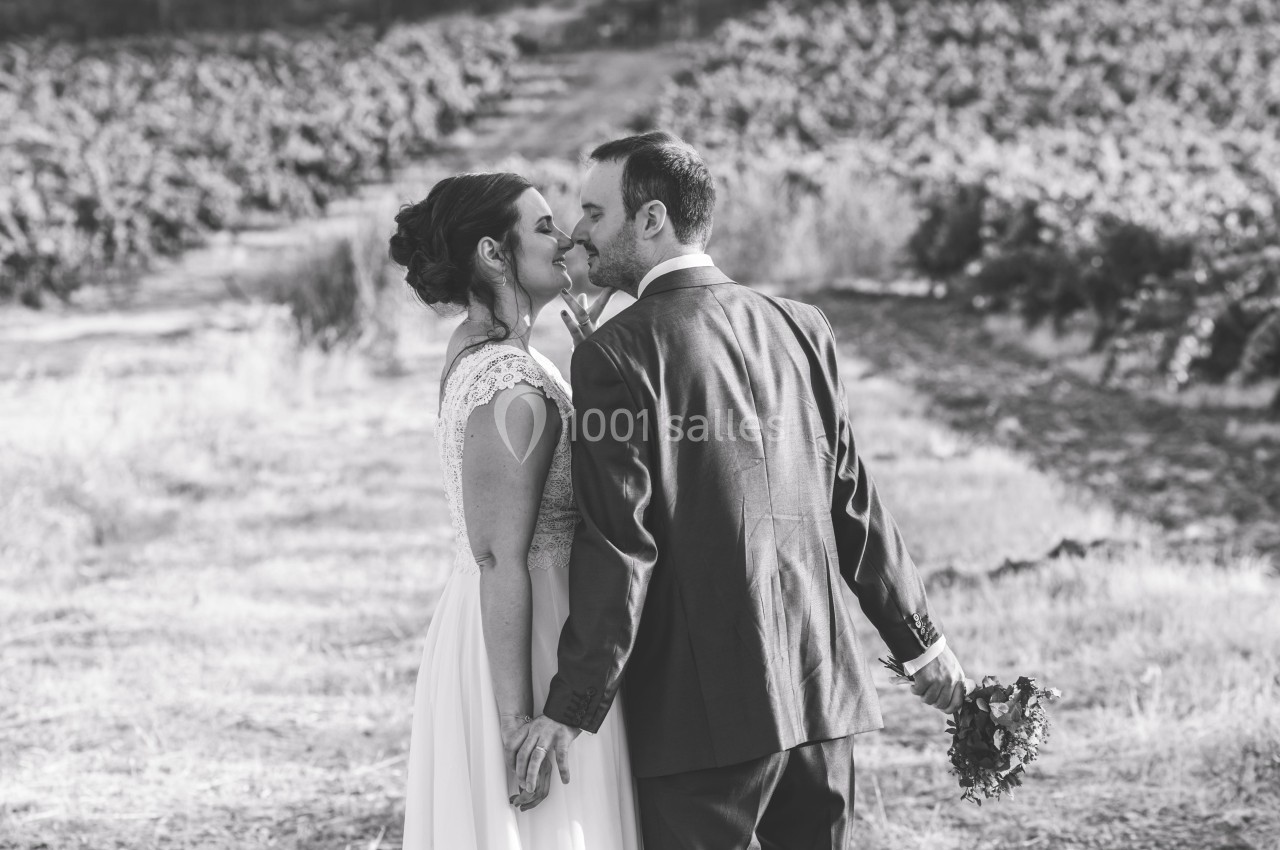Un couple en tenue de mariage se tient la main et s'embrasse dans un chemin bordé de vignes.