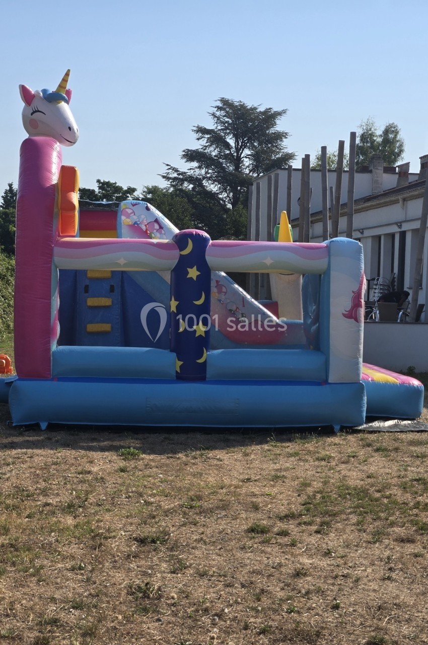 Structure gonflable colorée en forme de licorne avec toboggan, installée sur une pelouse par temps ensoleillé.