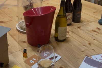 Roxandwine Expériences Autour du Vin  - photo 3