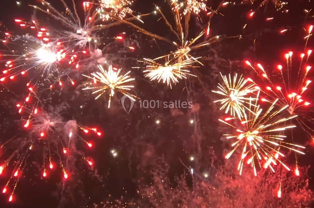 Feu d'artifice multicolore illuminant le ciel nocturne avec des explosions de lumière et des étincelles.