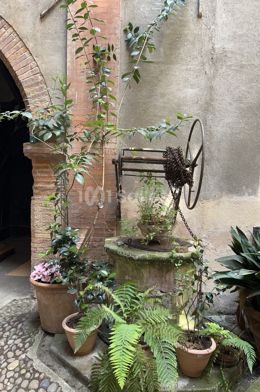 Vieil puits en pierre entouré de plantes en pots, situé dans une cour pavée avec un mur en briques et crépi.