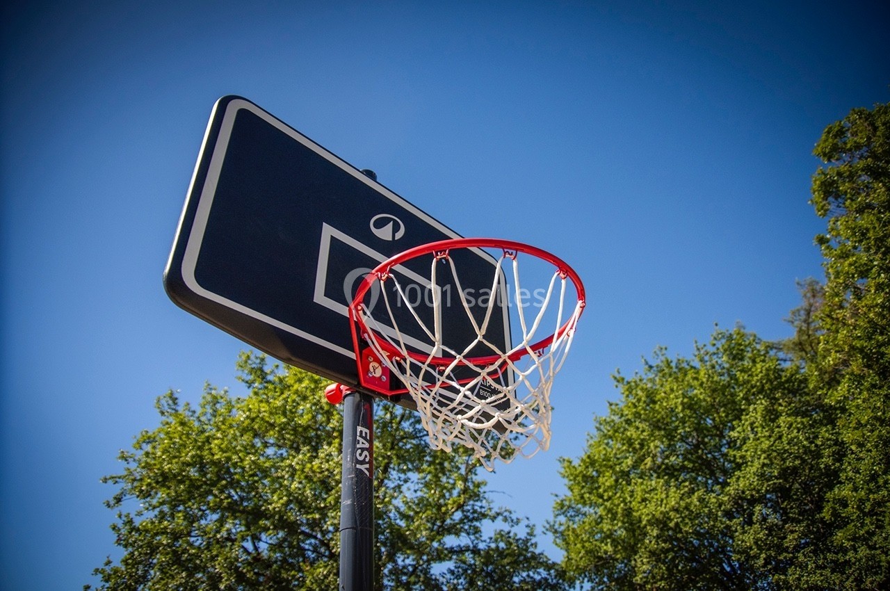 Panneau de basketball noir avec un filet blanc, installé en extérieur sous un ciel bleu et entouré d'arbres.