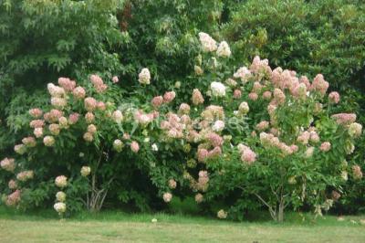 Miniature Location salle Quimper (Finistère) - Le Manoir Hôtel Des Indes #14 Location salle Quimper (Finistère) - Le Manoir Hôtel Des Indes #22