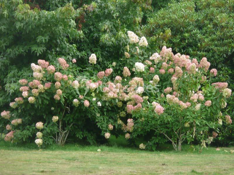Location salle Quimper (Finistère) - Le Manoir Hôtel Des Indes #14