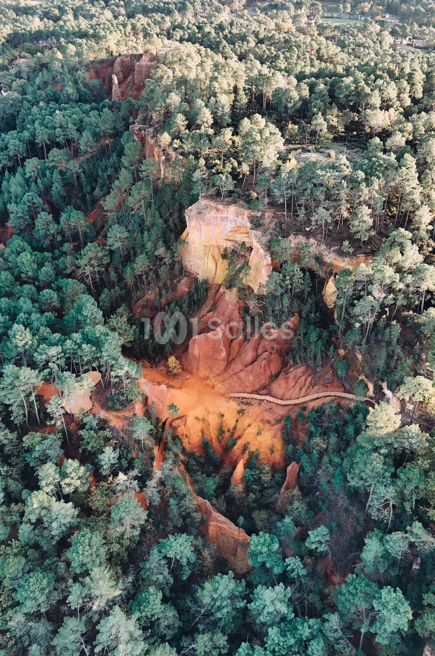 Forêt dense vue aérienne avec formations rocheuses ocre et sentier serpentant au sol.