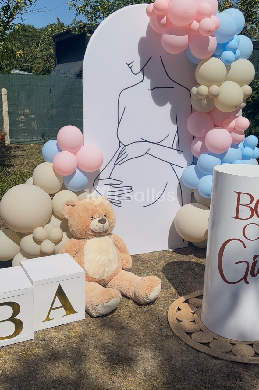 Décoration baby shower en extérieur - panneau blanc avec silhouette de femme enceinte entouré de ballons rose, bleu et beige.