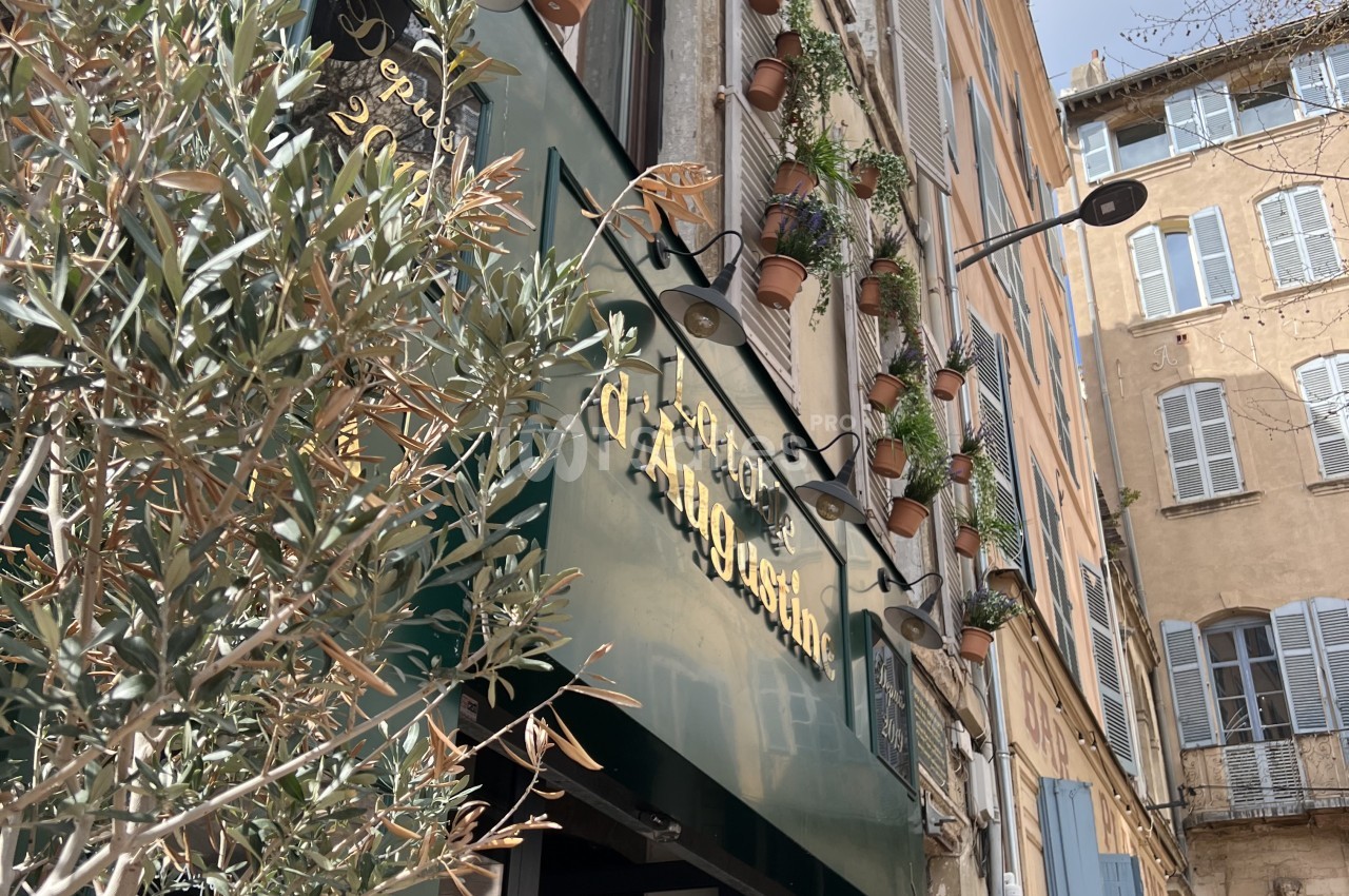 Façade du restaurant avec devanture verte, plantes en pots le long de la façade et bâtiments haussmanniens adjacents.