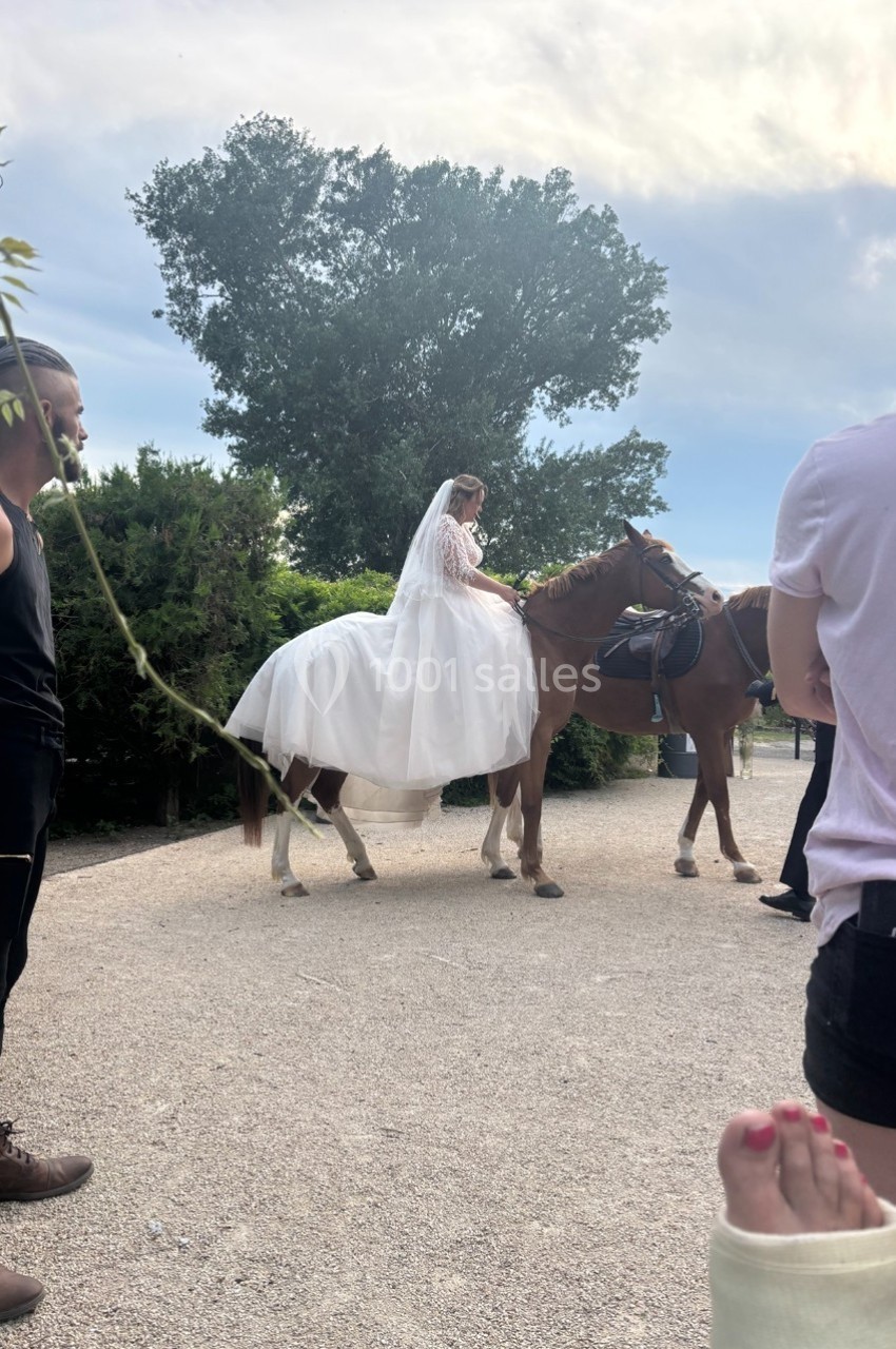 Une mariée en robe blanche montée sur un cheval, entourée de personnes dans un cadre extérieur arboré.