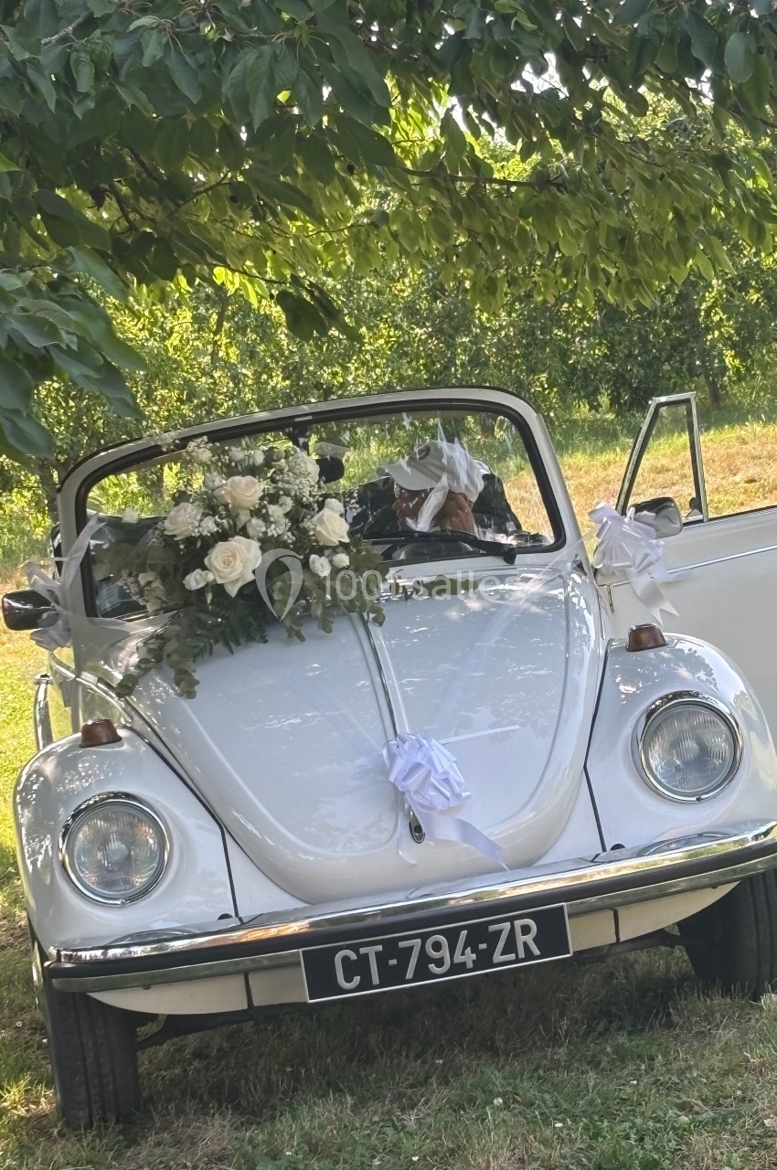 Coccinelle blanche décorée de fleurs blanches pour un mariage, stationnée sous un arbre dans un cadre verdoyant.