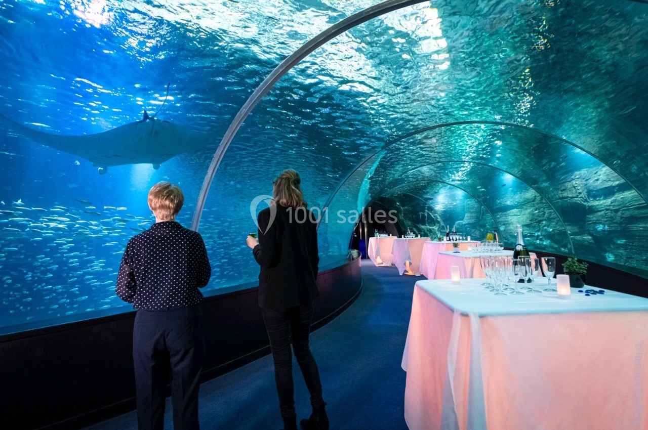 Deux personnes marchent dans un tunnel sous-marin entouré de poissons, avec des tables dressées sur le côté.