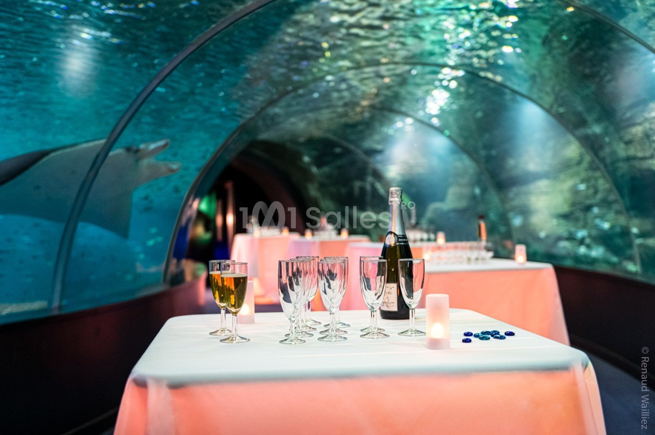 Table dressée avec des verres et une bouteille de champagne sous un tunnel aquatique éclairé, avec des raies visibles.