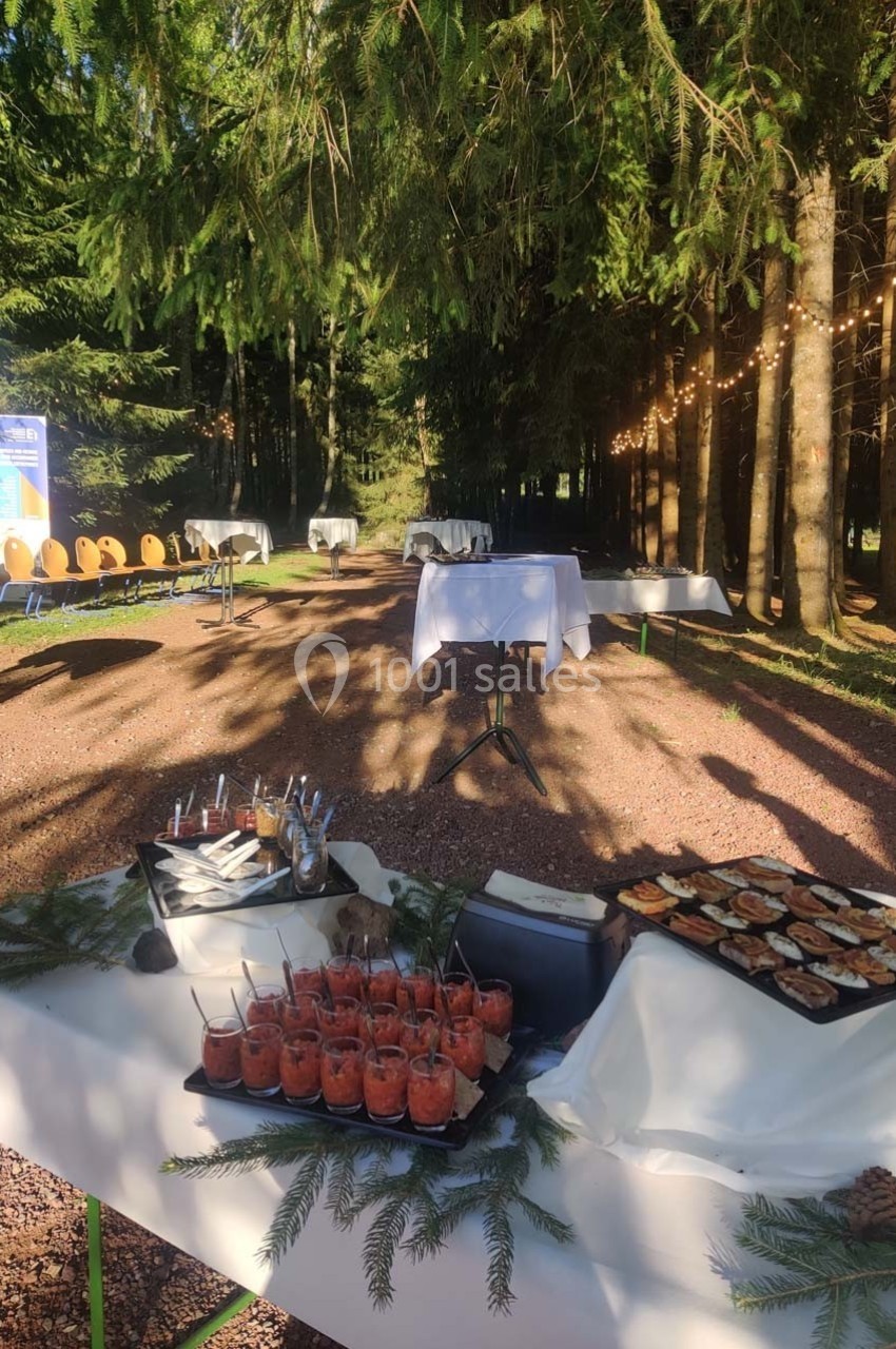 Buffet en extérieur avec verrines et amuse-bouches, installé dans une clairière bordée d'arbres et guirlandes lumineuses.