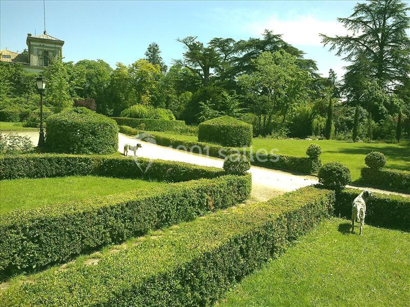 Allée bordée de haies taillées dans un jardin verdoyant avec des arbres et deux chiens visibles au loin.