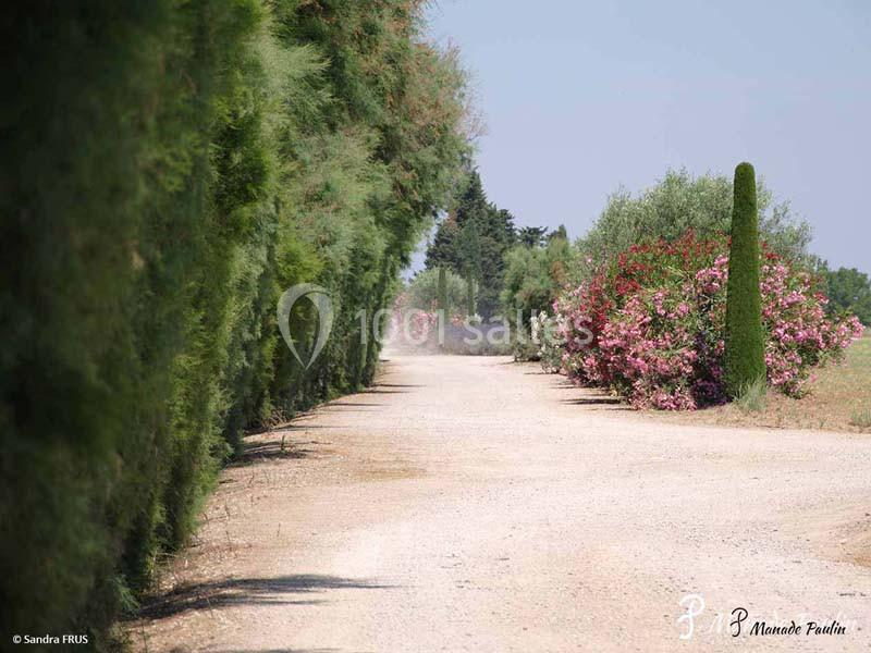 Mas Du Tamaris - galerie - photo 20