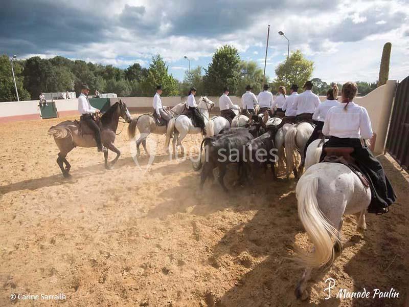 Mas Du Tamaris - galerie - photo 18