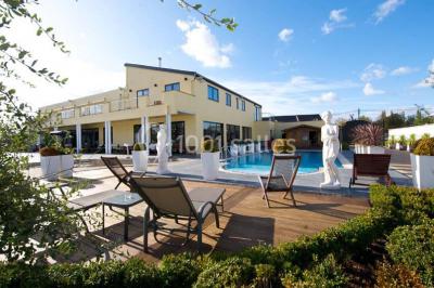 Miniature Location salle Thuin (Hainaut) - Le Prestige #2 Vue d'une maison moderne avec piscine, statue décorative au premier plan et ciel dégagé en arrière-plan.