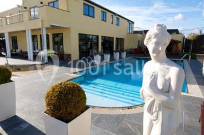 Miniature Location salle Thuin (Hainaut) - Le Prestige #24 Vue d'une maison moderne avec piscine, statue décorative au premier plan et ciel dégagé en arrière-plan.
