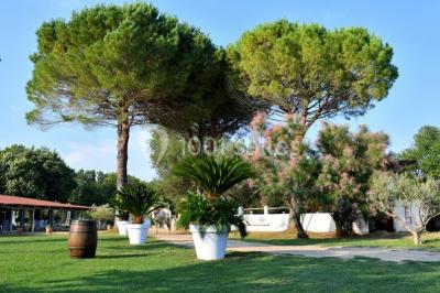 Location salle Lansargues (Hérault) - Manade Boch #24