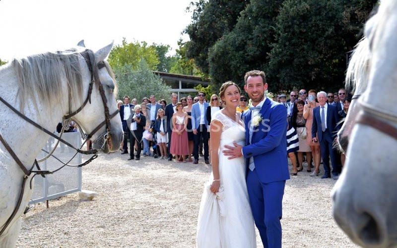 Location salle Lansargues (Hérault) - Manade Boch #12