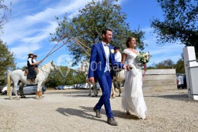 Location salle Lansargues (Hérault) - Manade Boch #24