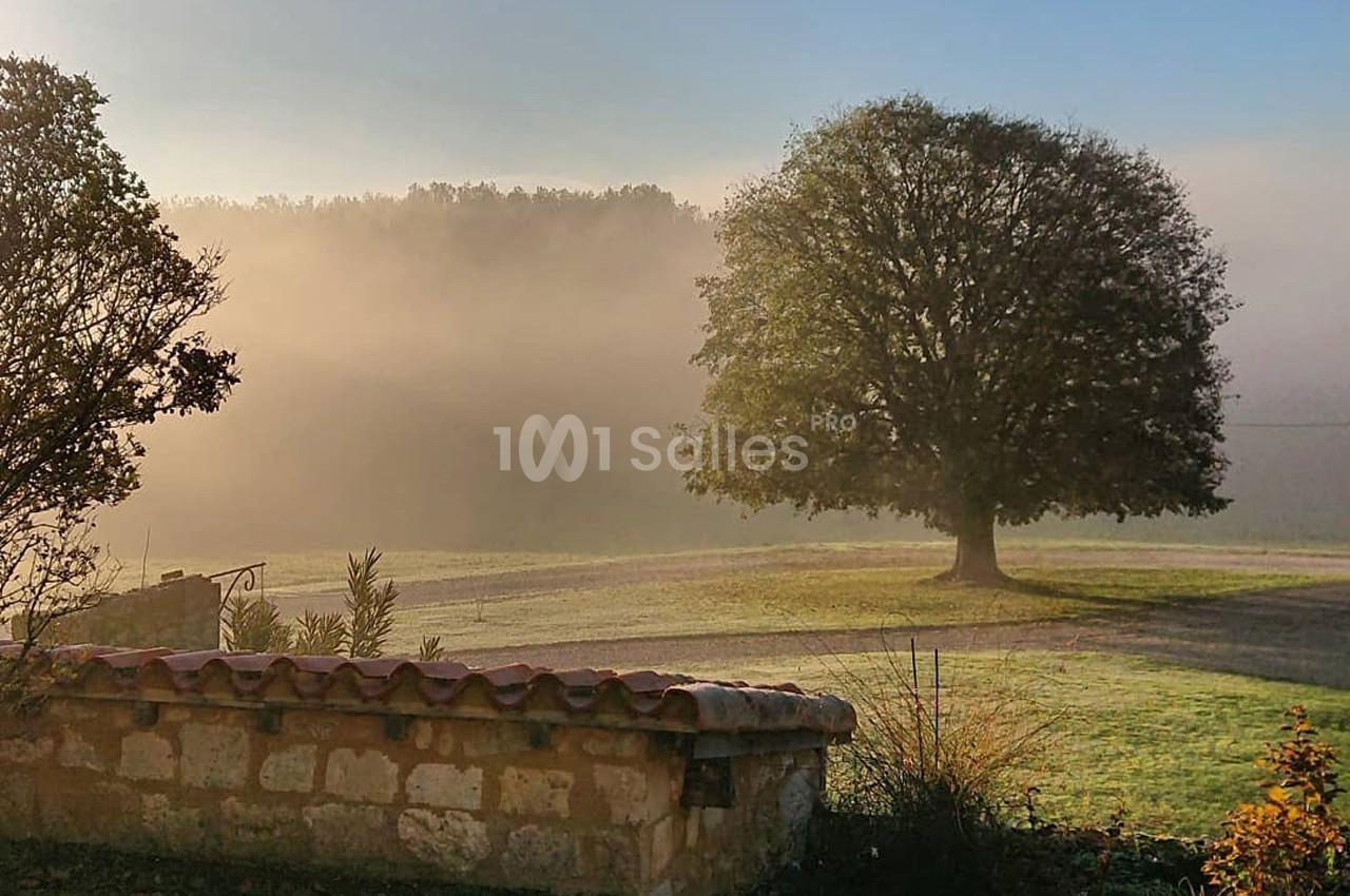 Paysage matinal avec un grand arbre isolé dans une prairie, entouré de brume et éclairé par une lumière douce.