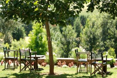 Chateau de Castel Novel - photo 4