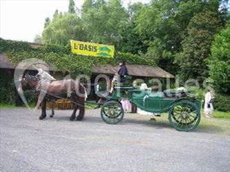 Location salle Winnezeele (Nord) - A L'oasis #2