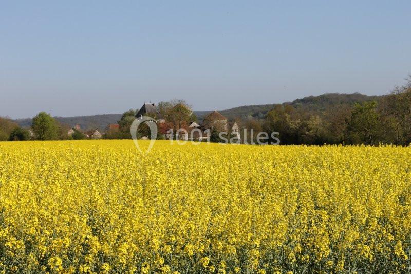 Location salle Saint-Loup-de-Naud (Seine-et-Marne) - Ferme de la Haute Maison #4 Location salle Saint-Loup-de-Naud (Seine-et-Marne) - Ferme de la Haute Maison #4