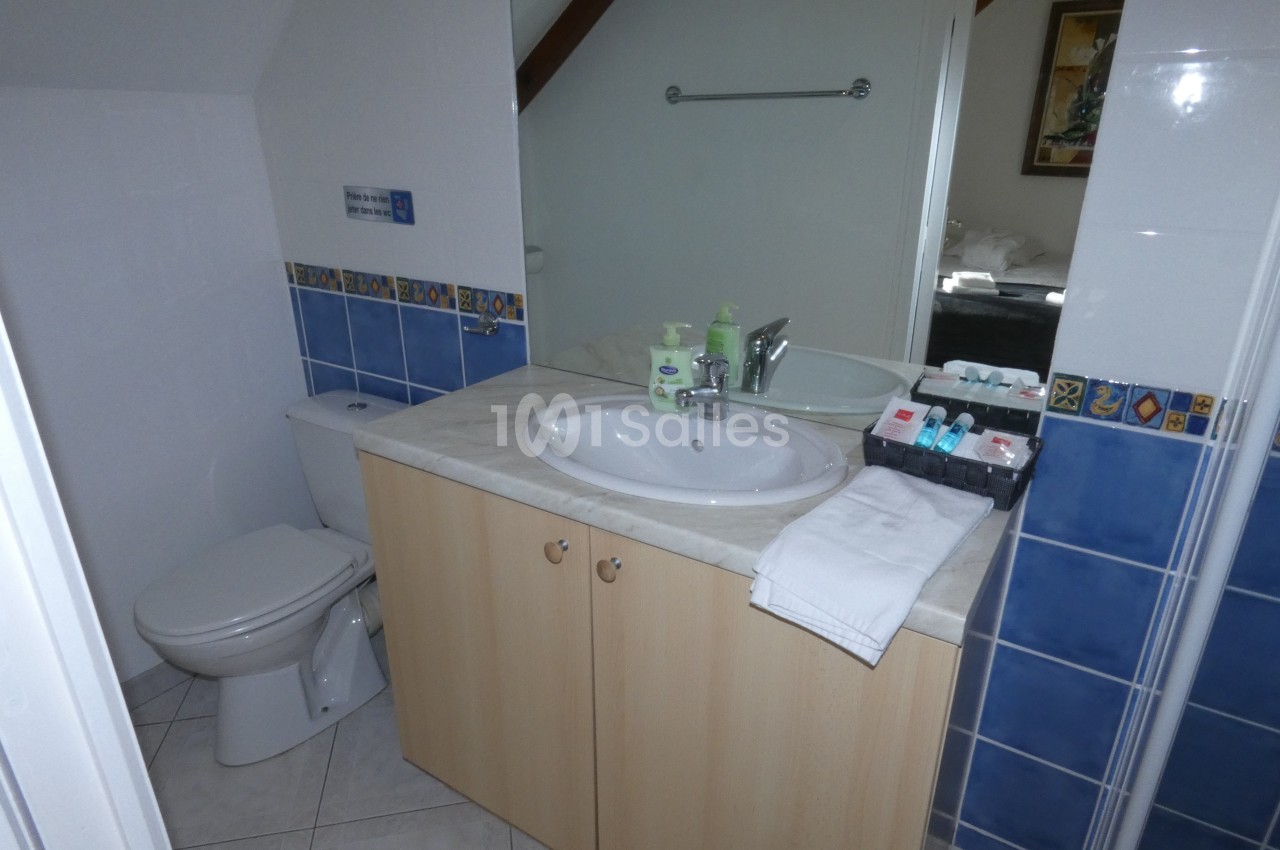 Salle de bain avec lavabo, miroir, toilettes, carrelage bleu et accessoires de toilette disposés sur le plan de travail.