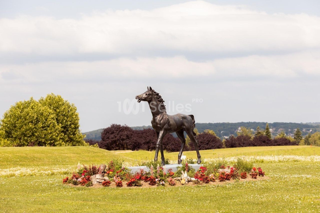 Statue d'un poulain en bronze entourée de fleurs dans un parc verdoyant sous un ciel partiellement nuageux.