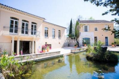 La Maison des Vins - photo 2