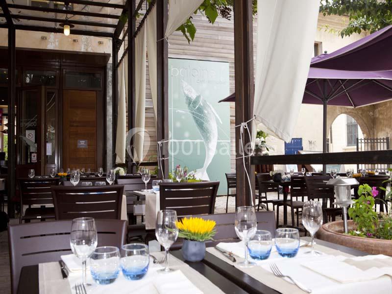 Location salle Paris 5 (Paris) - Jardin Des Plantes – La Baleine #16