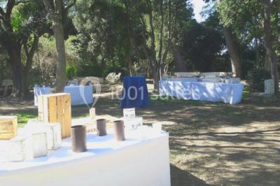 Salle à manger lumineuse avec table en bois, chaises colorées, cuisine ouverte et décoration sobre.