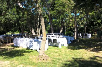 Salle à manger lumineuse avec table en bois, chaises colorées, cuisine ouverte et décoration sobre.